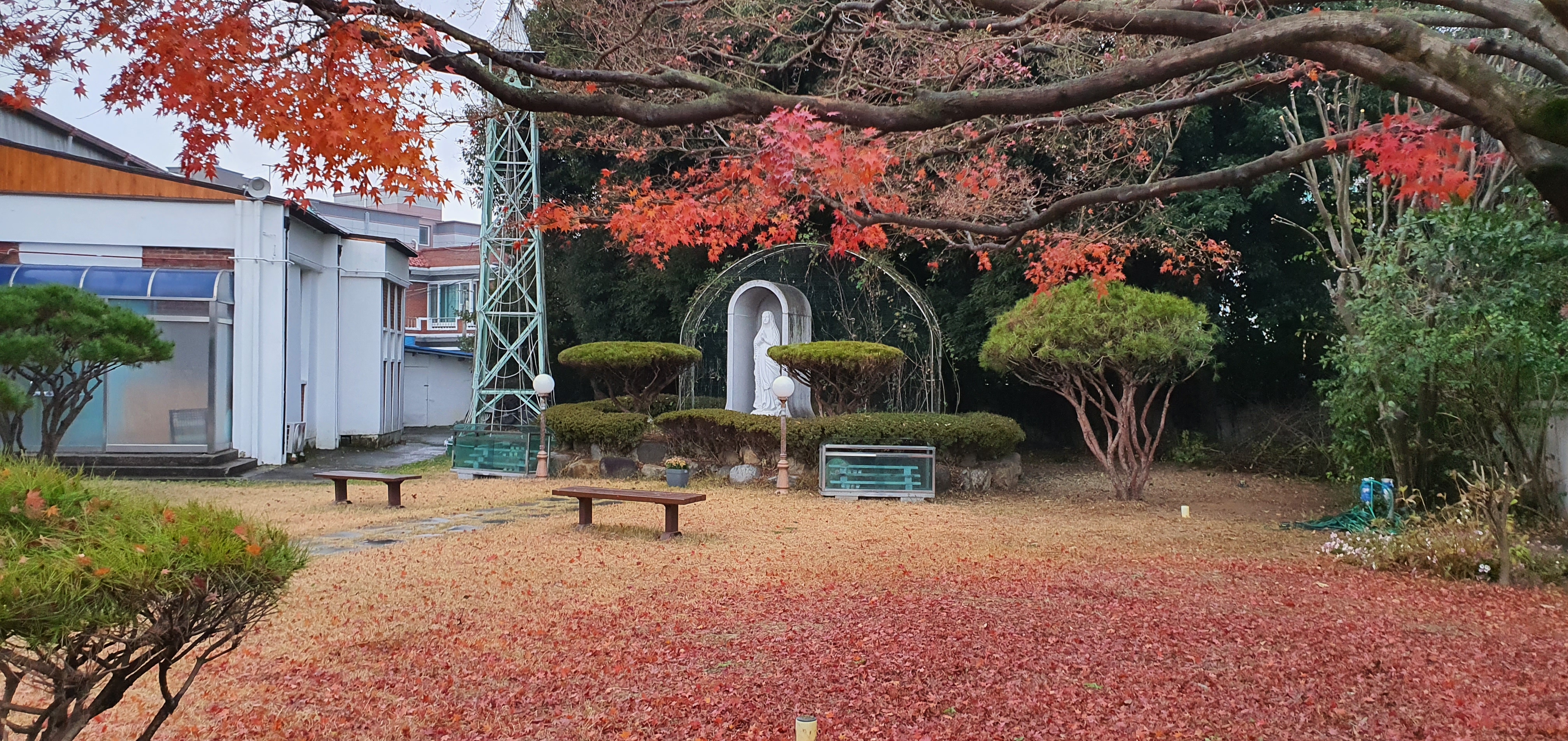 20201213_161022.jpg