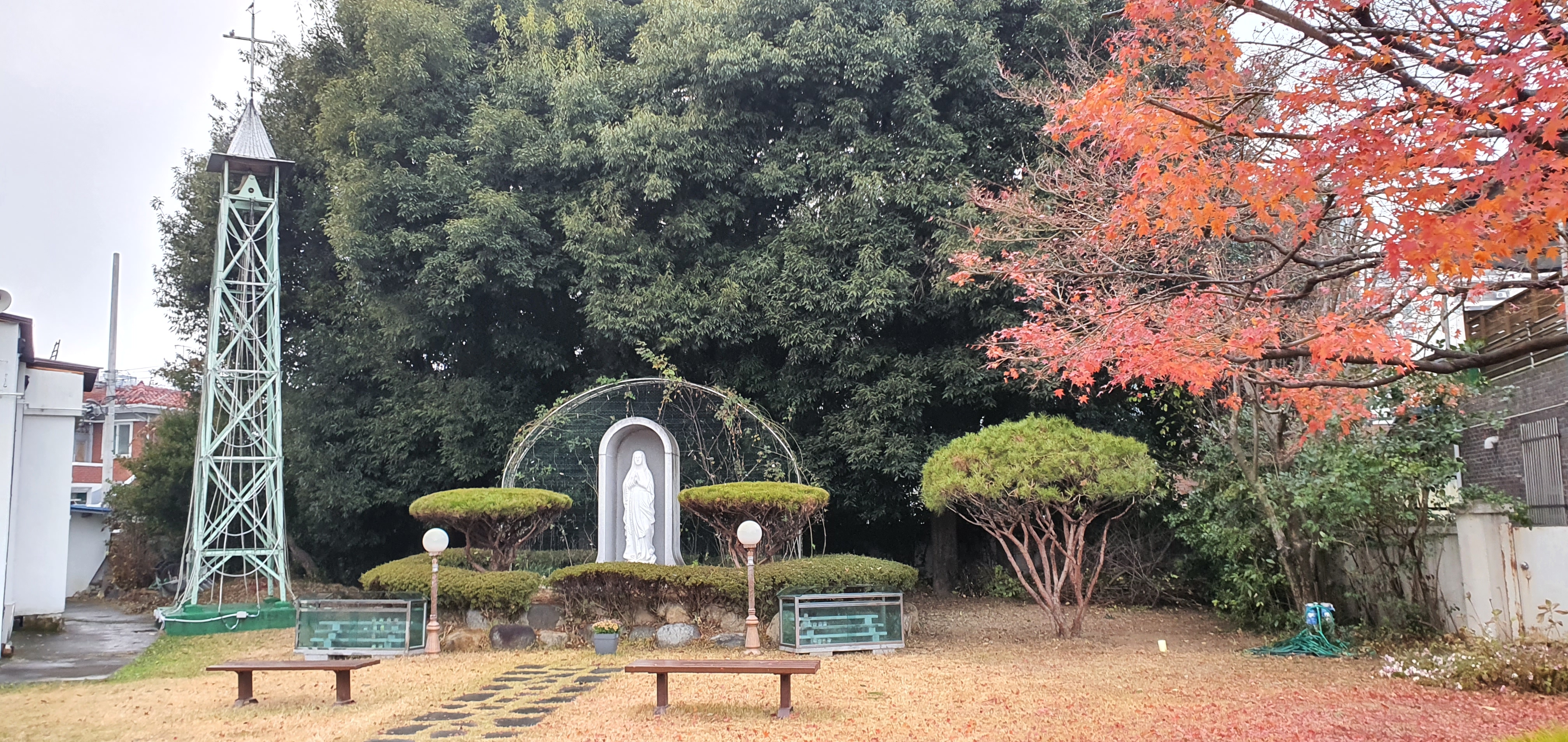 20201213_161036.jpg