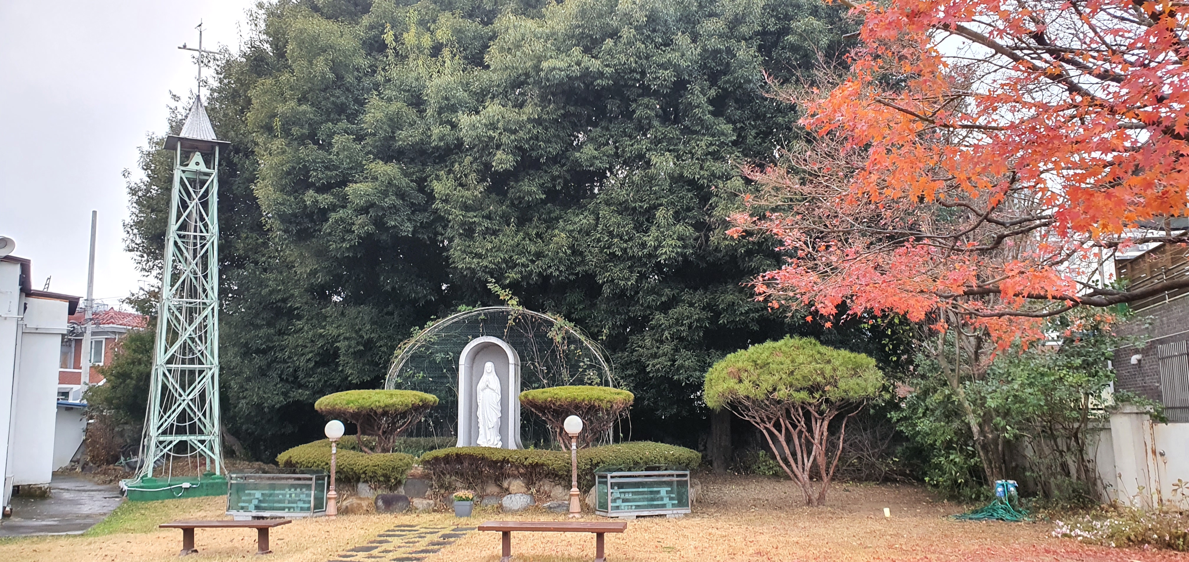 20201213_161034.jpg